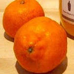 今津ぽんかん