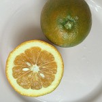 かぼす画像